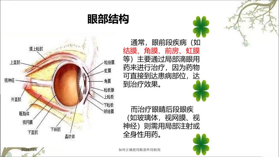 如何正确使用眼部外用制剂_第2页