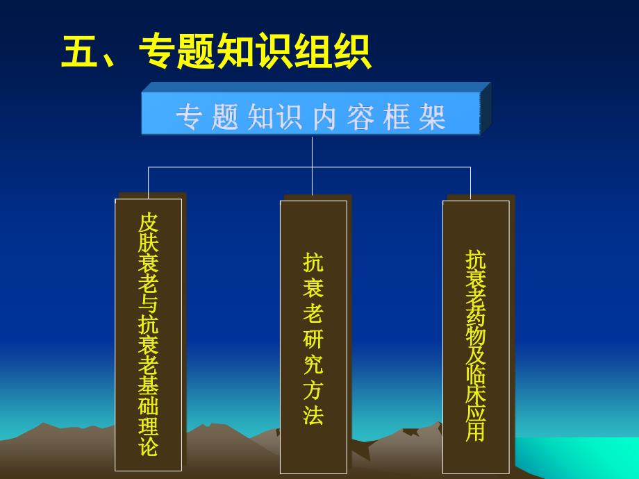 皮肤抗衰老专题学习网站_第4页