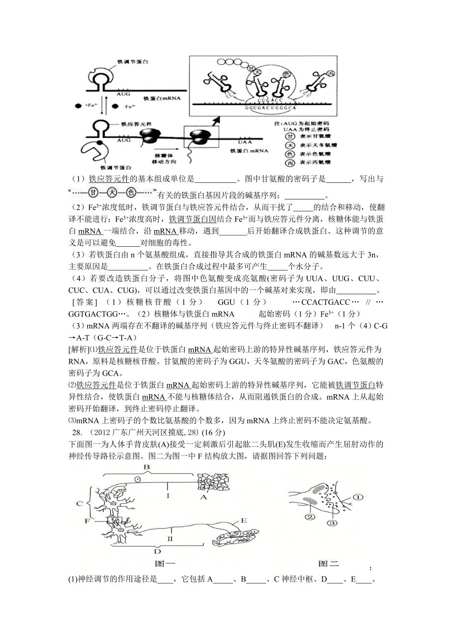 广州天河区高中2011-2012届毕业班一模理科综合生物试题解析.doc_第4页