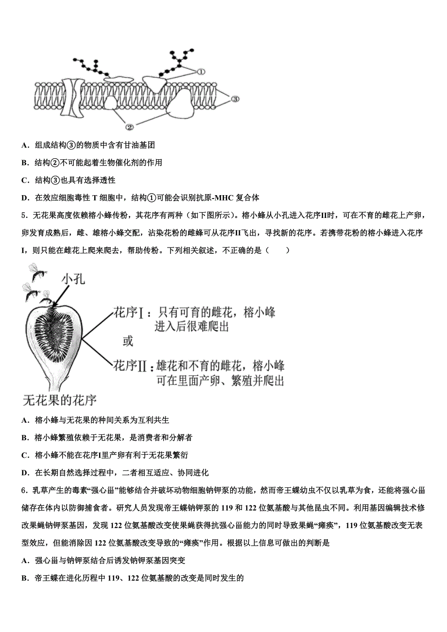 2023年四川乐山市中区高三下学期联合考试生物试题（含答案解析）.doc_第2页