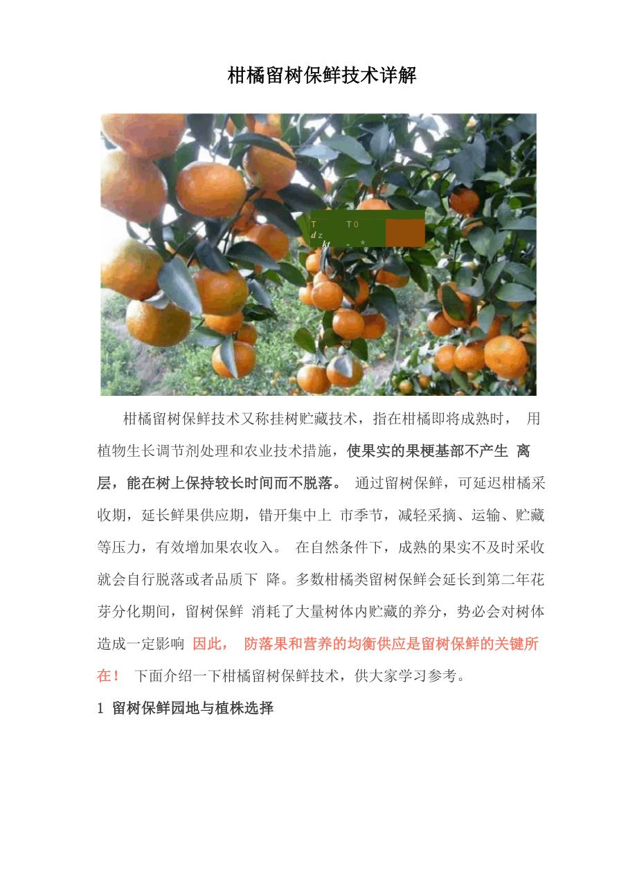 柑橘留树保鲜技术详解_第1页