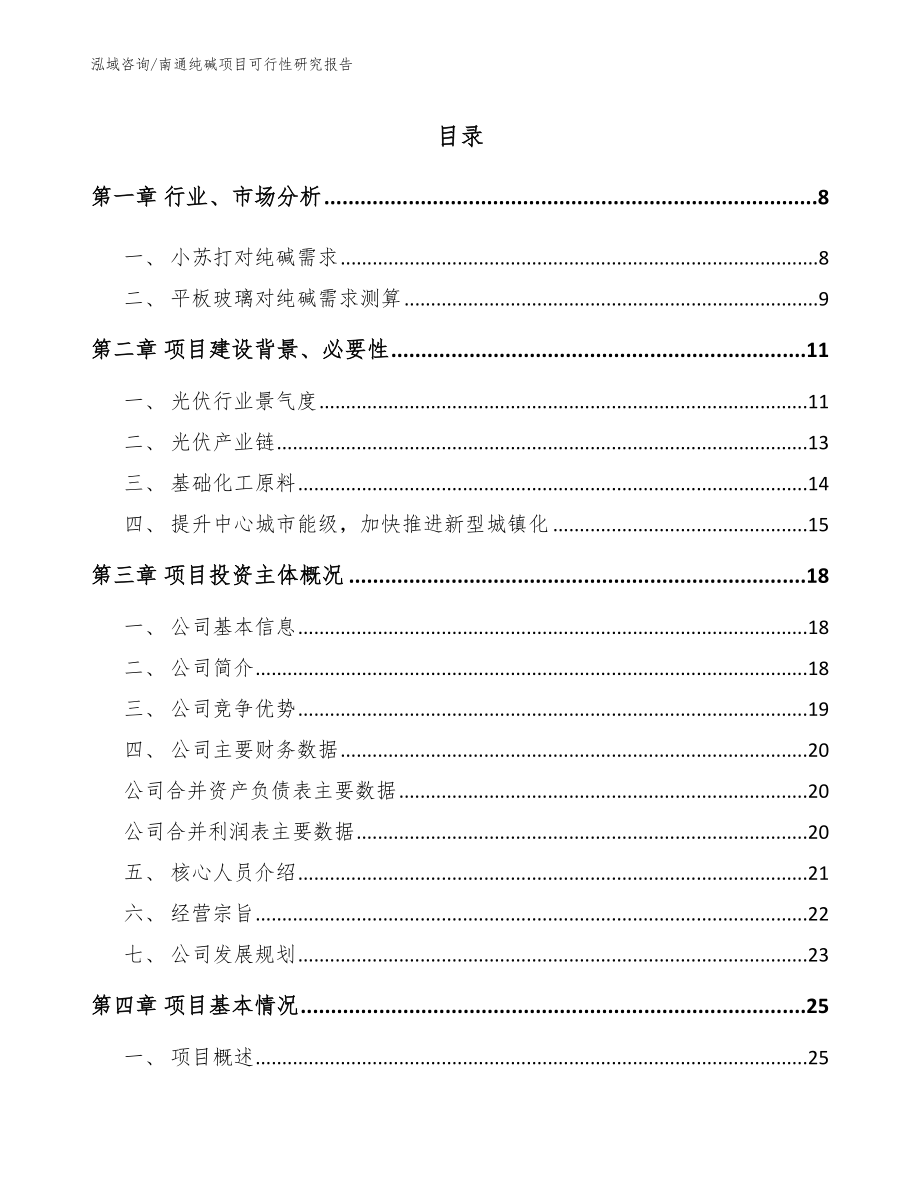 南通纯碱项目可行性研究报告（模板参考）_第2页