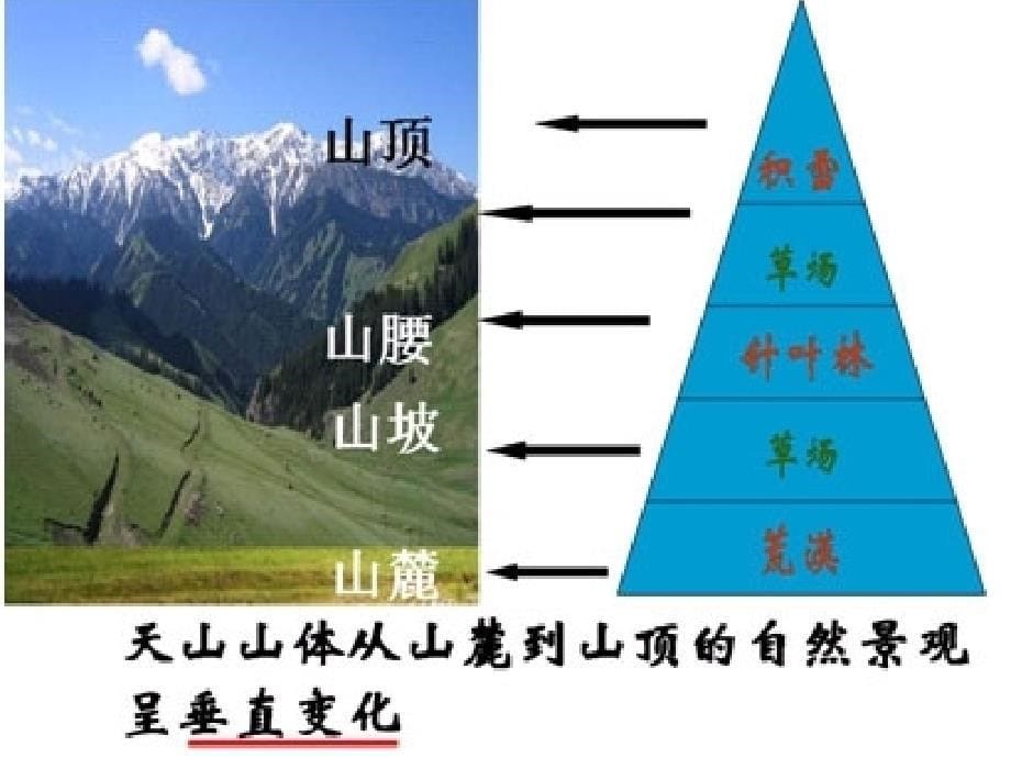 32农业的区位因素与农业地域类型_第5页