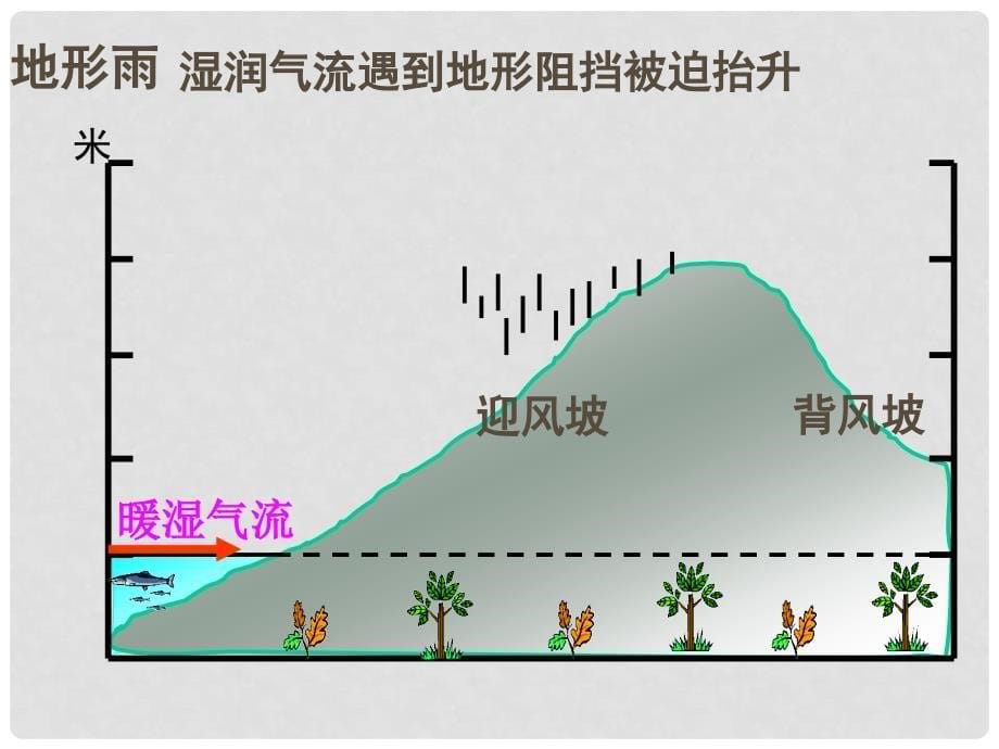 四川省大英县育才中学高考地理一轮复习 降水课件_第5页