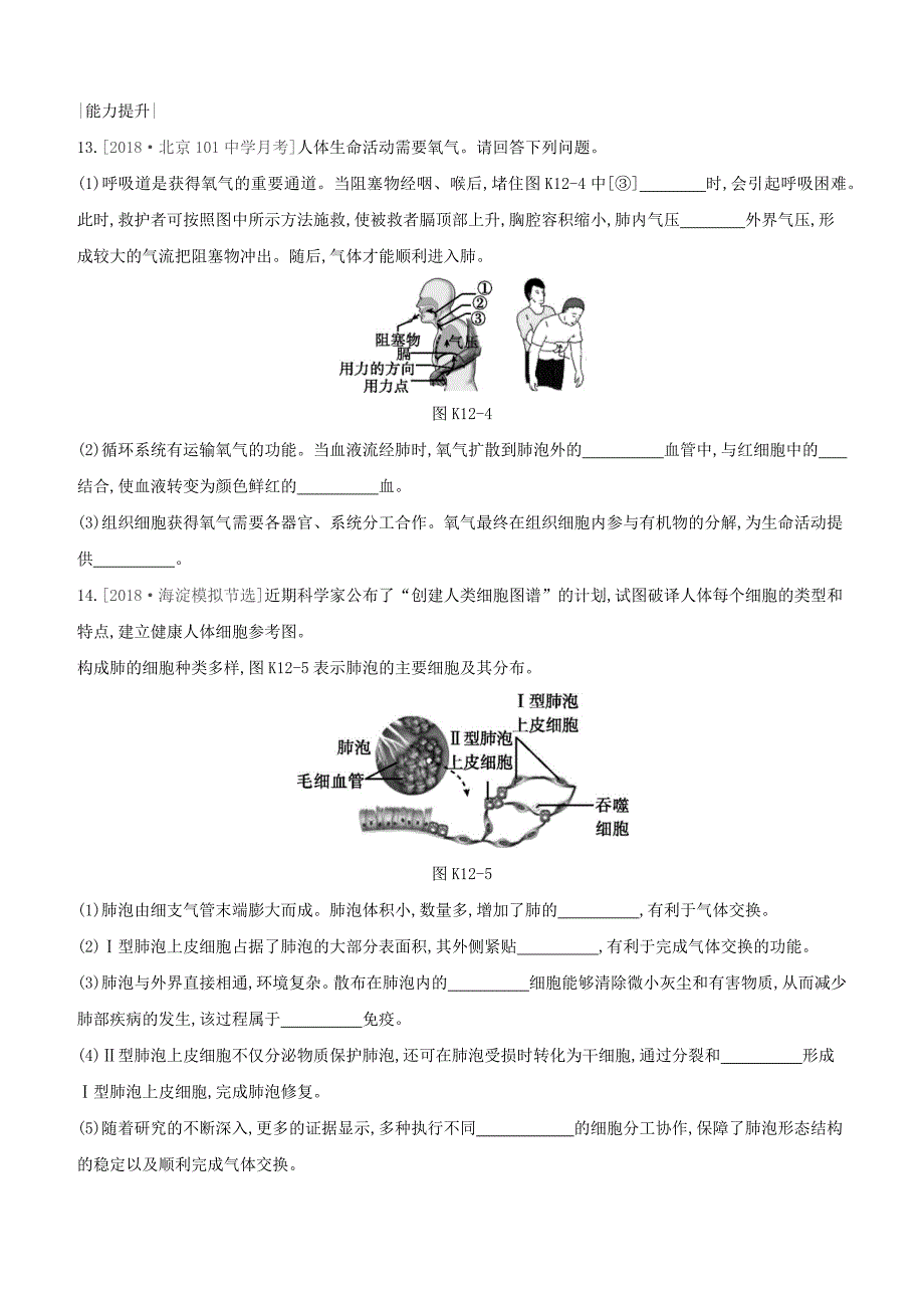 北京专版2020年中考生物复习主题五生物圈中的人课时训练12人体的呼吸.docx_第4页