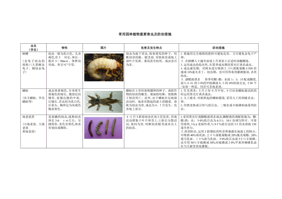 常见主要害虫及防治方法_第1页