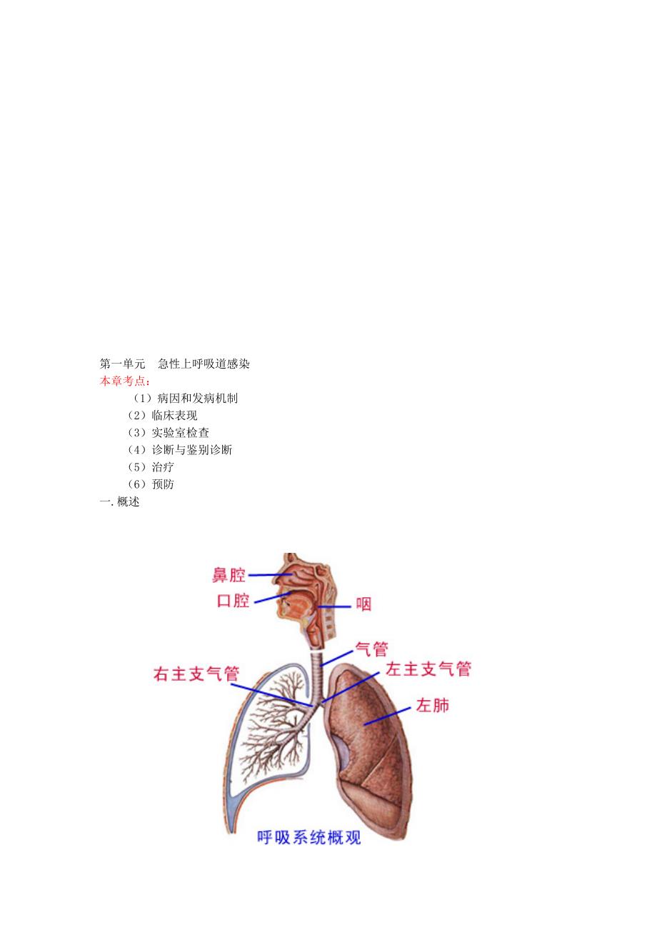 内科呼吸系统：急性上呼吸道感染_第1页