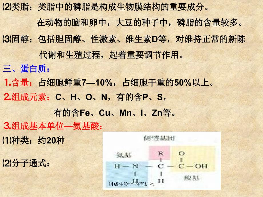 组成生物体的有机物课件_第3页