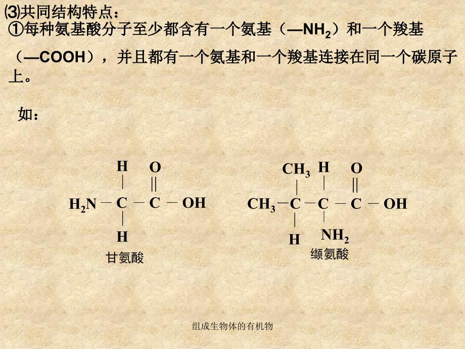 组成生物体的有机物课件_第4页