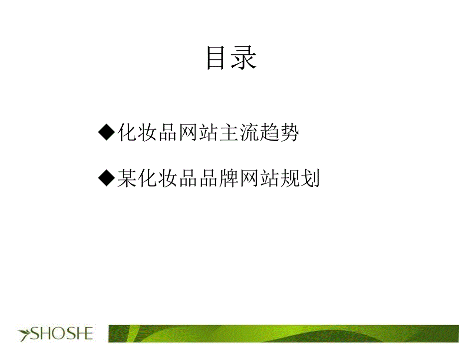 化妆品品牌网站规划网站设计方案_第2页