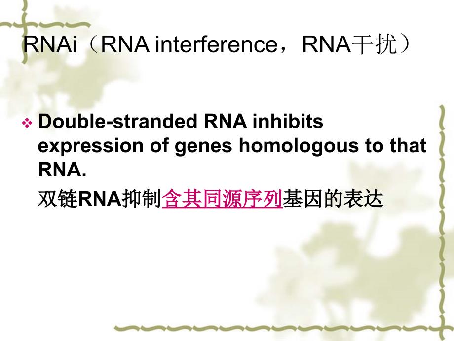 RNA干扰技术及其应用.ppt_第3页