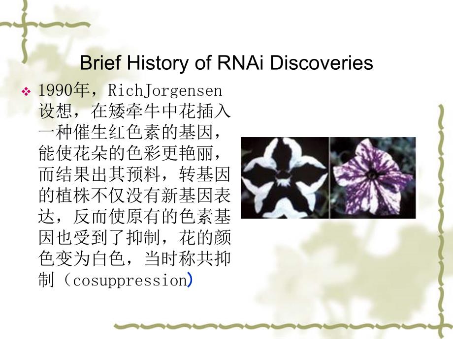 RNA干扰技术及其应用.ppt_第4页