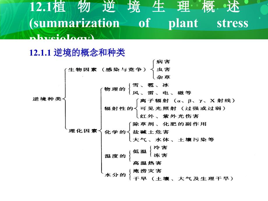 植物抗性的生理基础_第2页