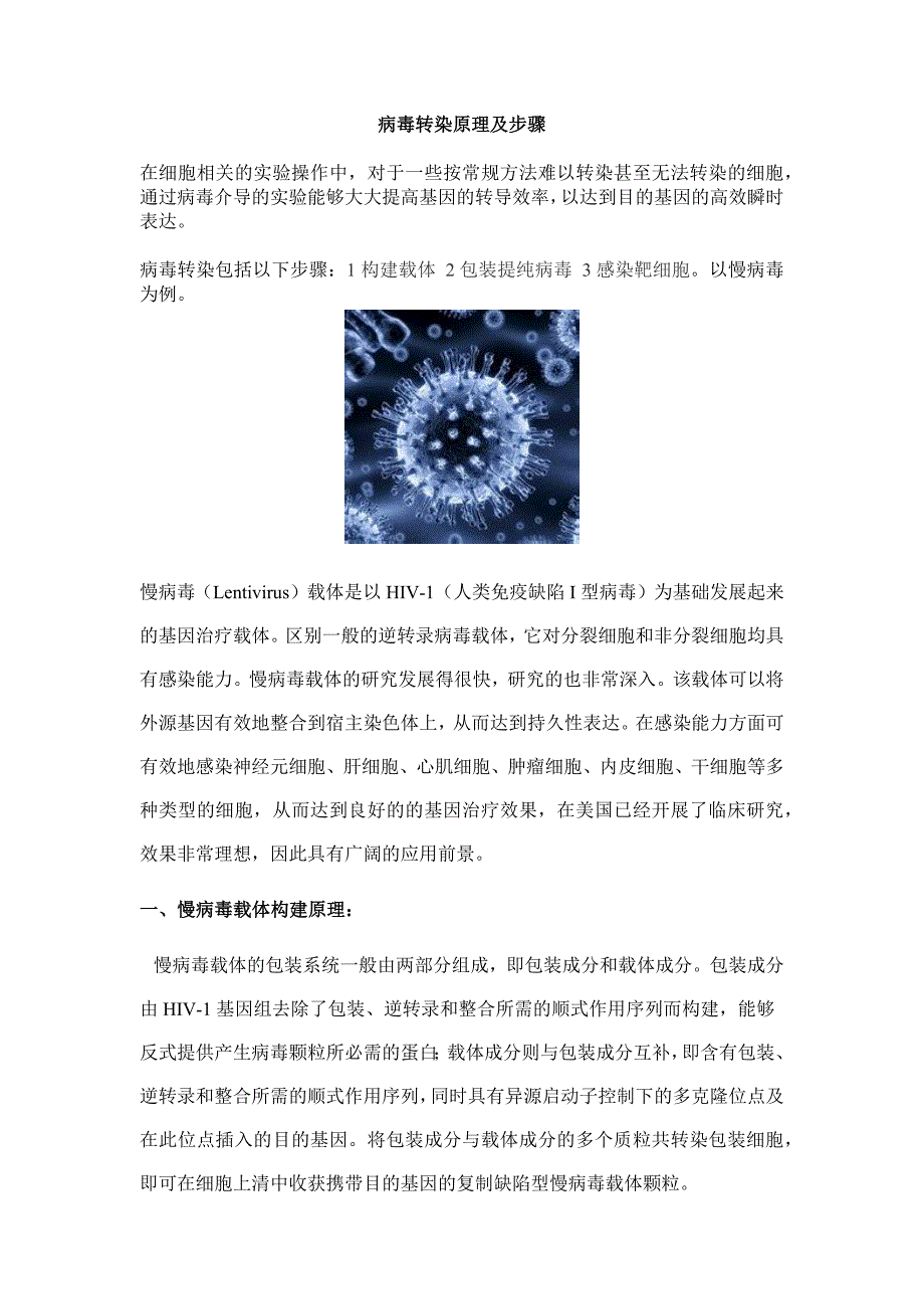 病毒转染原理及步骤_第1页