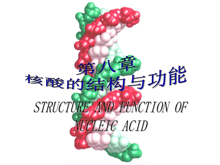 核酸的结构和功能生物化学精品课件_第1页