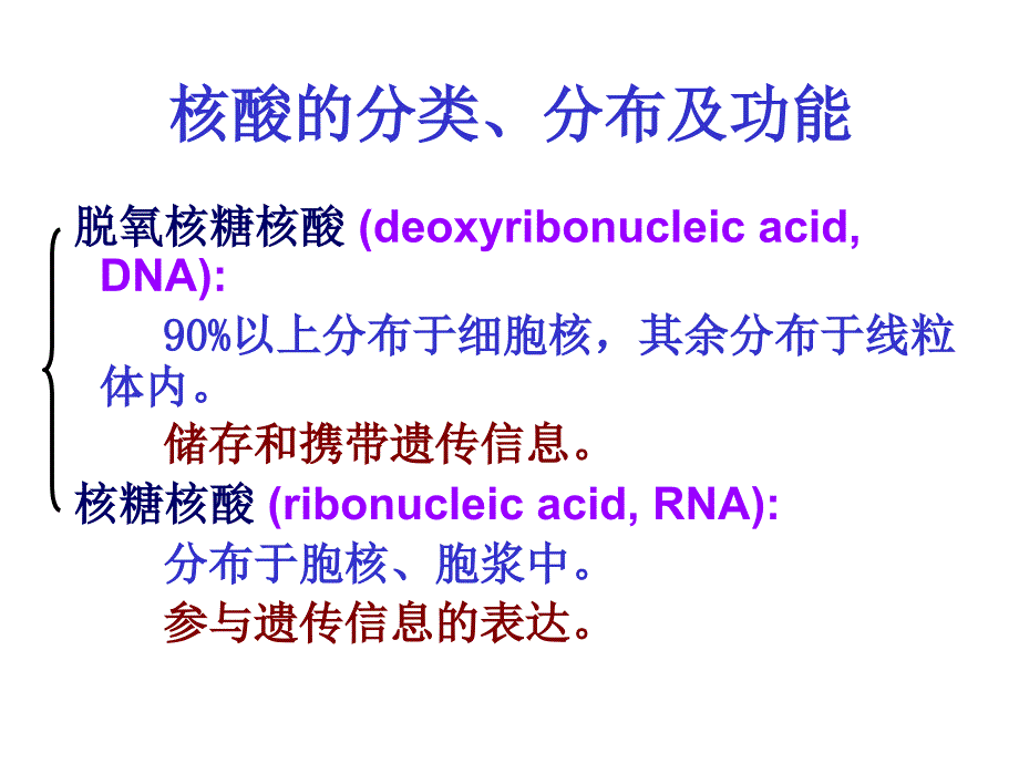 核酸的结构和功能生物化学精品课件_第3页