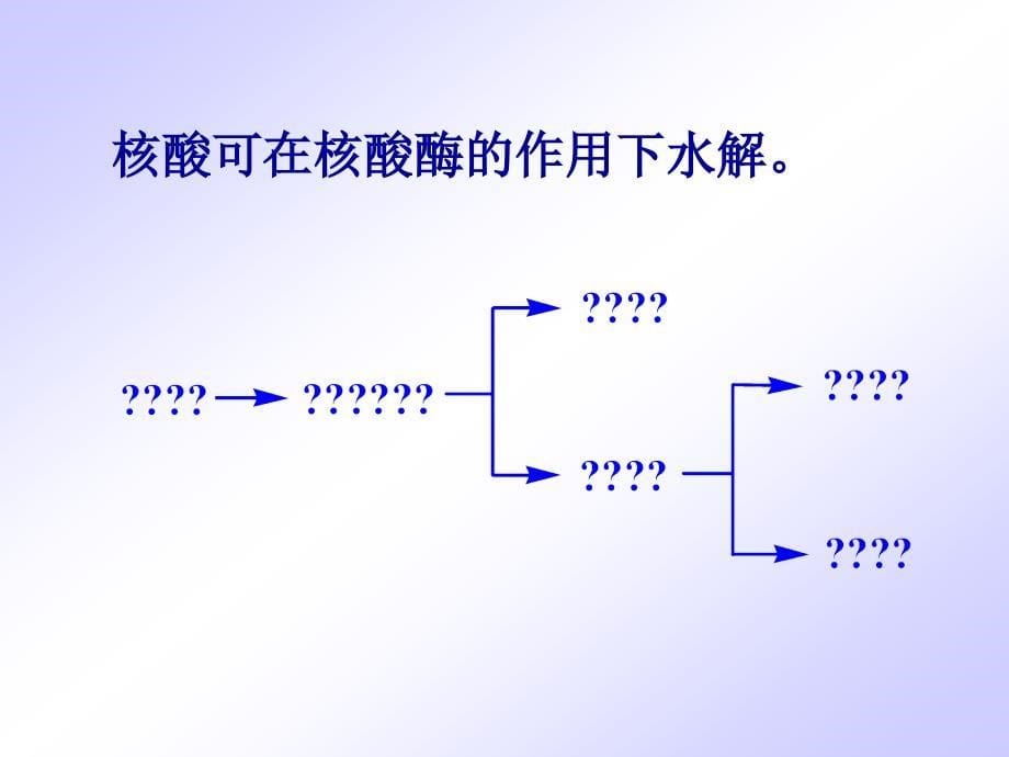 核酸的结构和功能生物化学精品课件_第5页