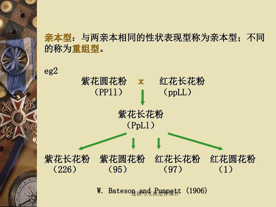 连锁与互换定律课件_第4页