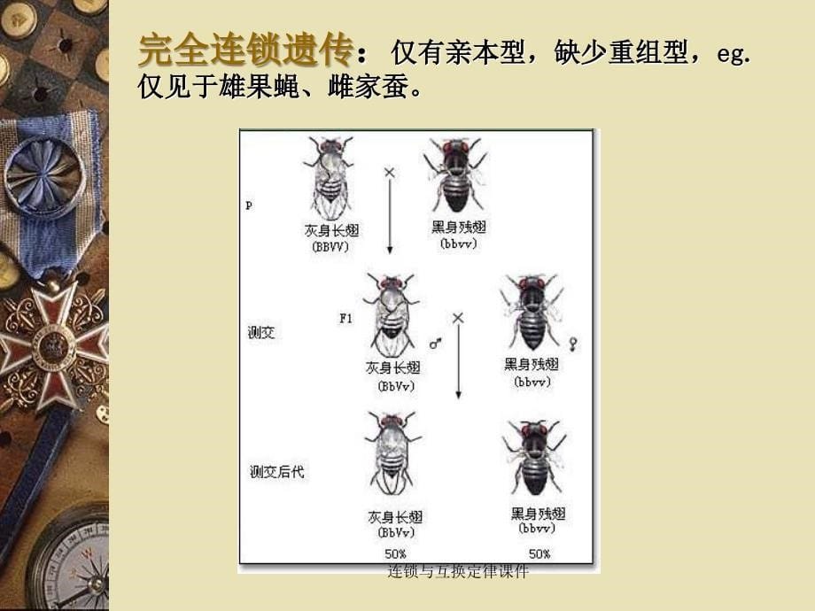 连锁与互换定律课件_第5页