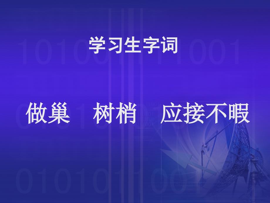 3鸟的天堂课堂演示课件_第4页