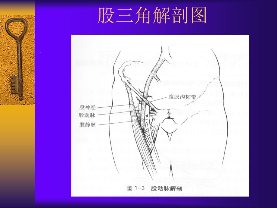 冠脉造影血管穿刺技术课件_第4页