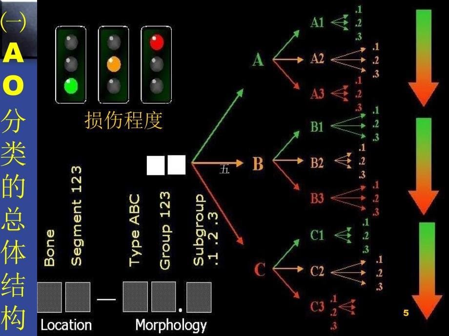 再谈骨折ao分类参考PPT_第5页