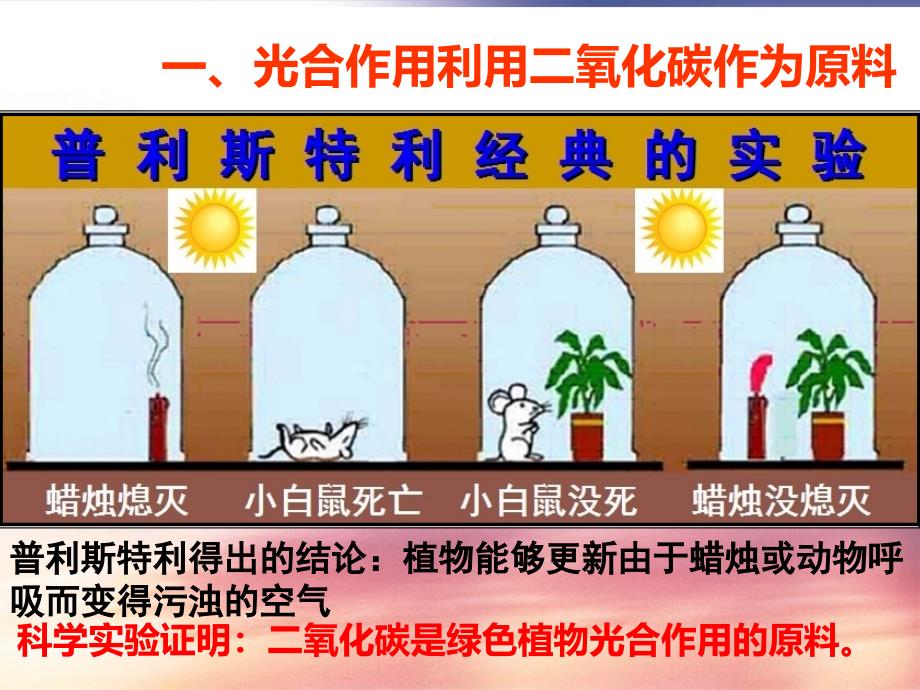 第三单元第五章第一节光合作用吸收二氧化碳释放氧气课件5_第3页