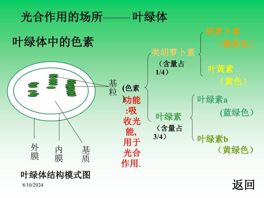 第5章第4节能量之源光和光合作用_第5页