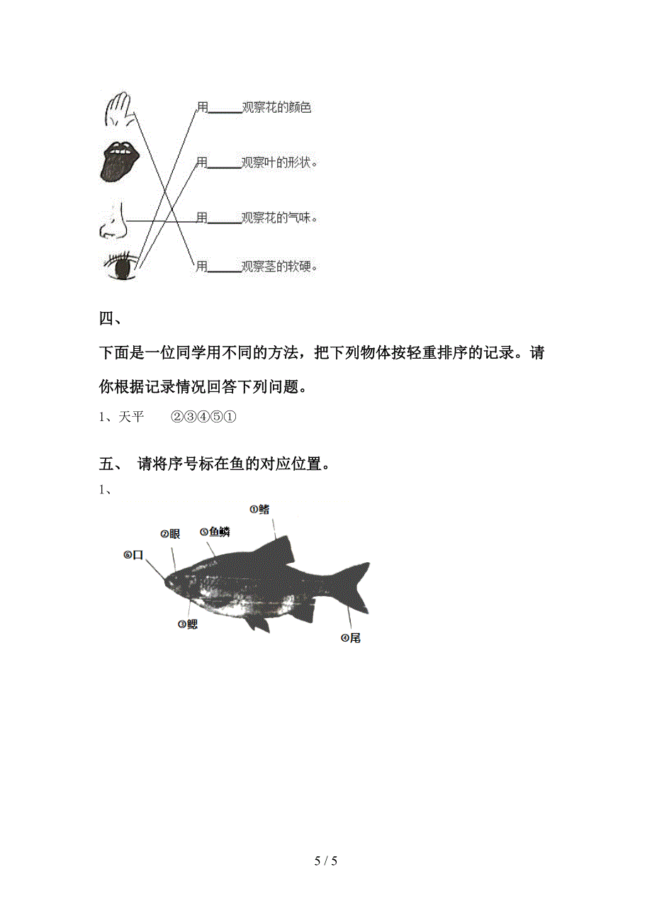 一年级科学上册期中考试【含答案】.doc_第5页