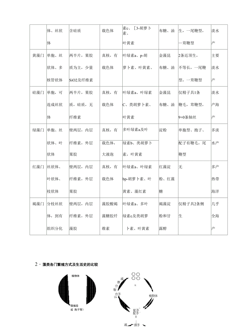 植物学分类学情况总结_第4页