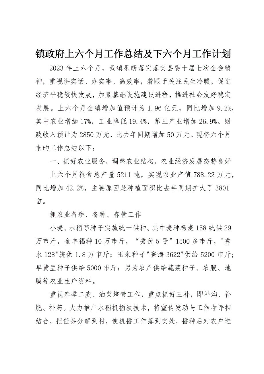 镇政府上半年工作总结及下半年工作计划_第1页