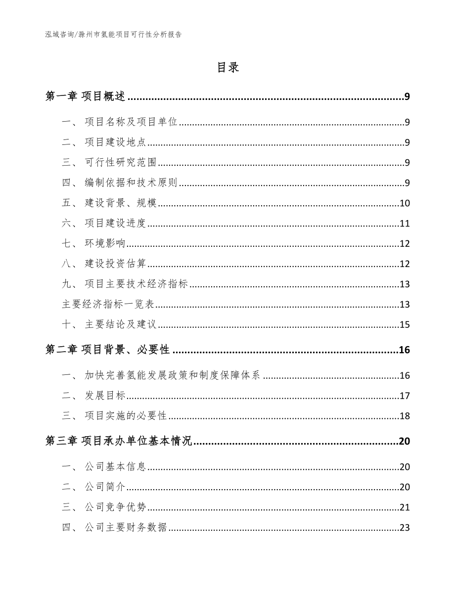 滁州市氢能项目可行性分析报告_模板_第2页