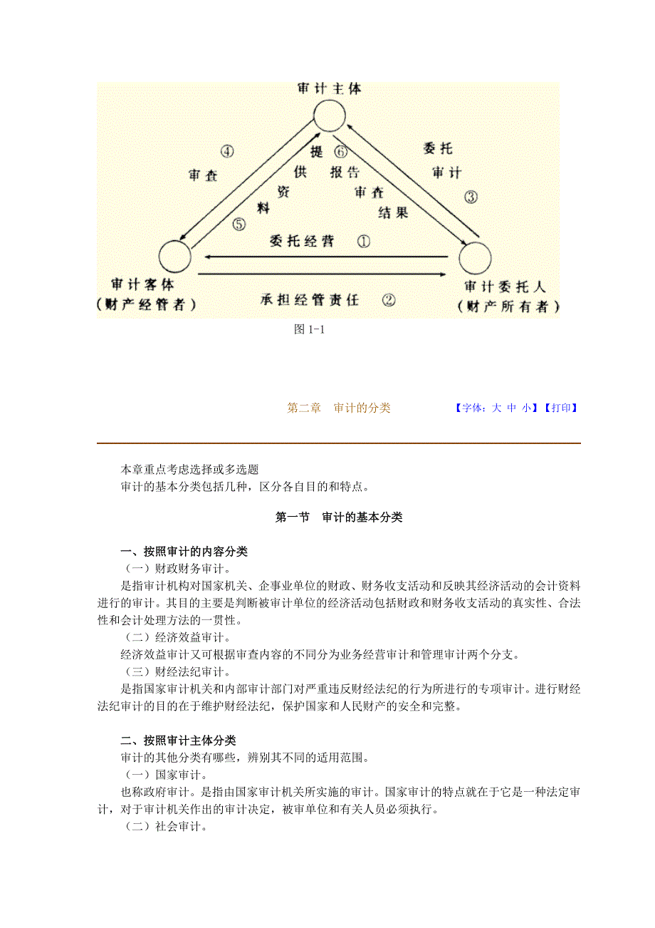 审计学串讲讲义Word版_第4页