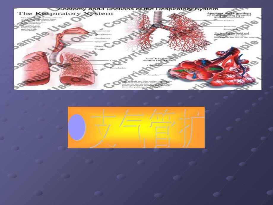 支气管扩张症护理查房_第1页