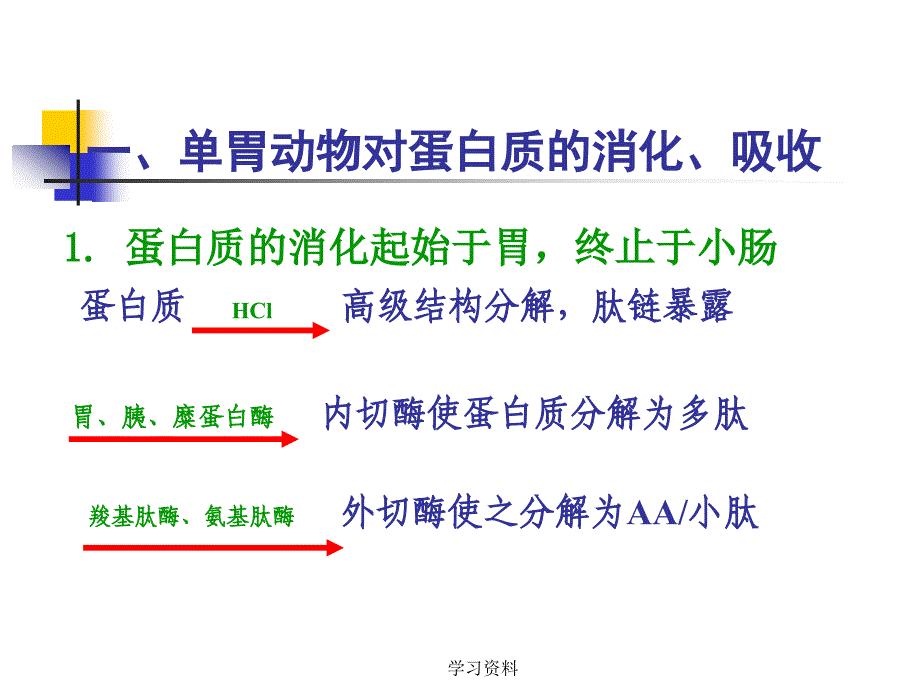 第二讲 动物对蛋白质的消化#学习资料_第3页