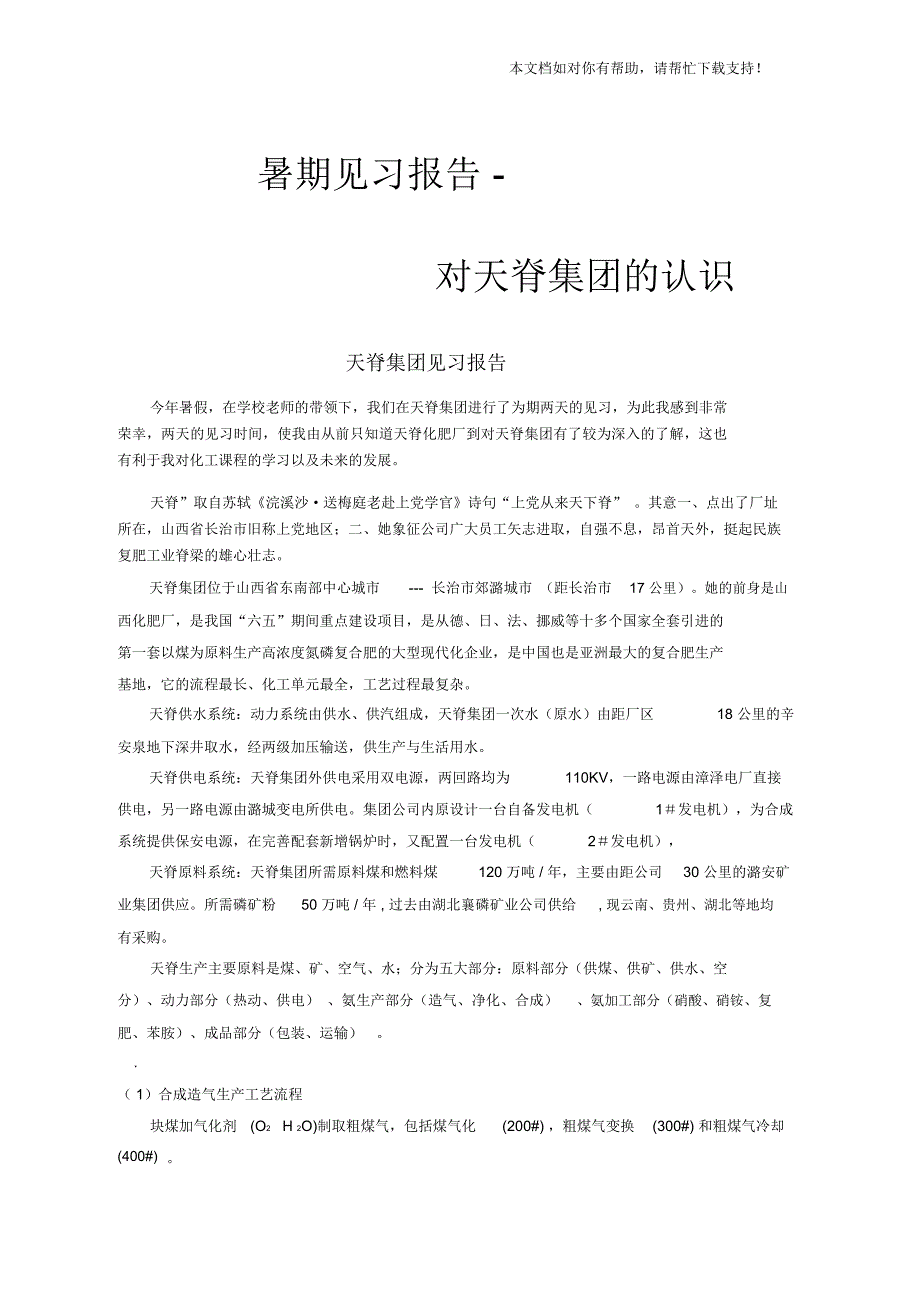 天脊集团见习报告_第1页