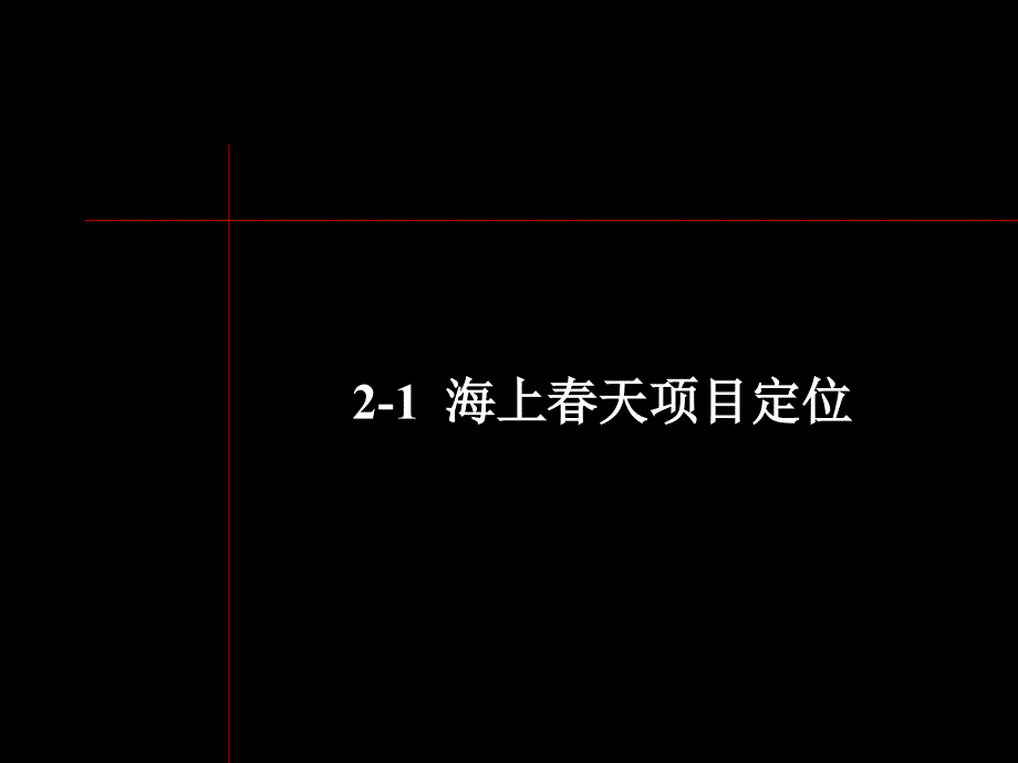 传播策略及广告定位_第3页