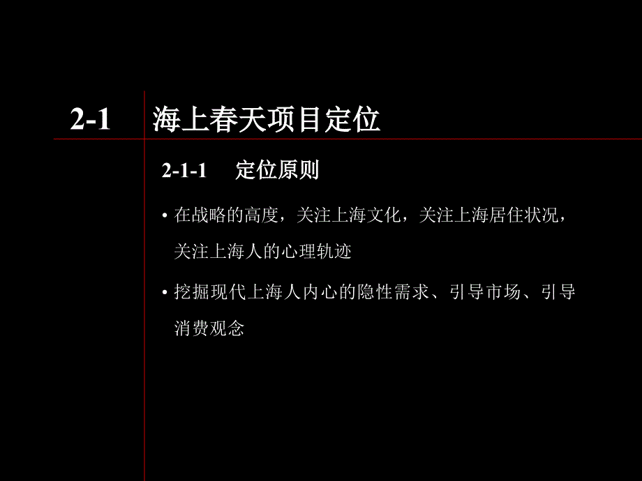 传播策略及广告定位_第4页