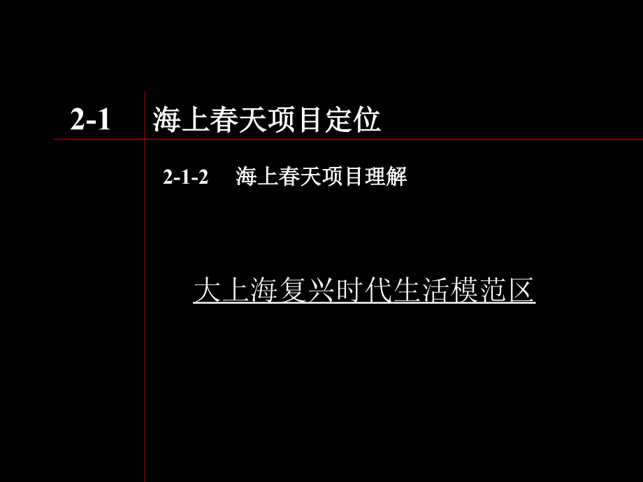 传播策略及广告定位_第5页