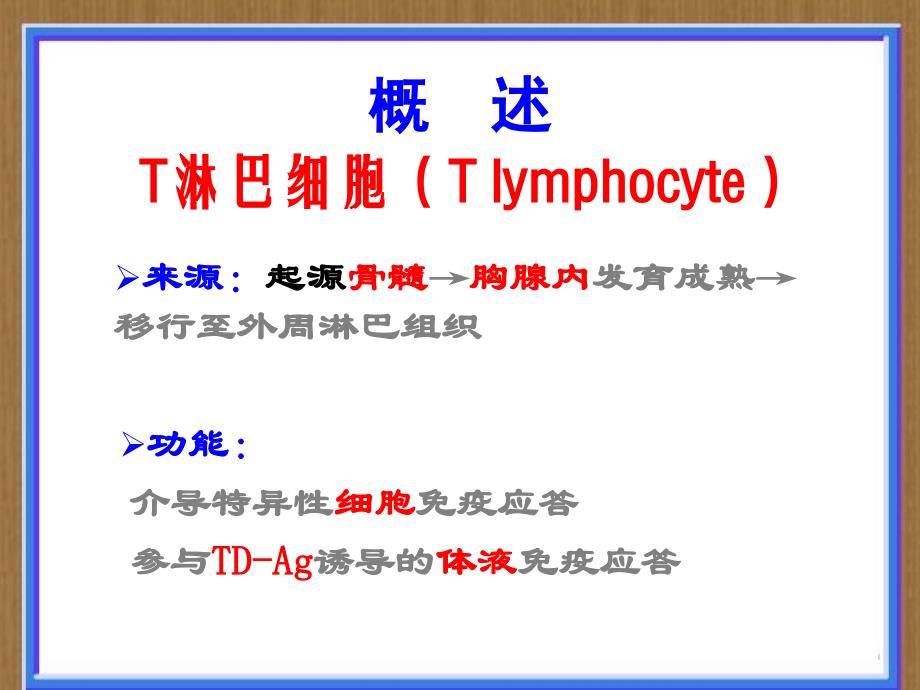 第10章T细胞08下_第4页