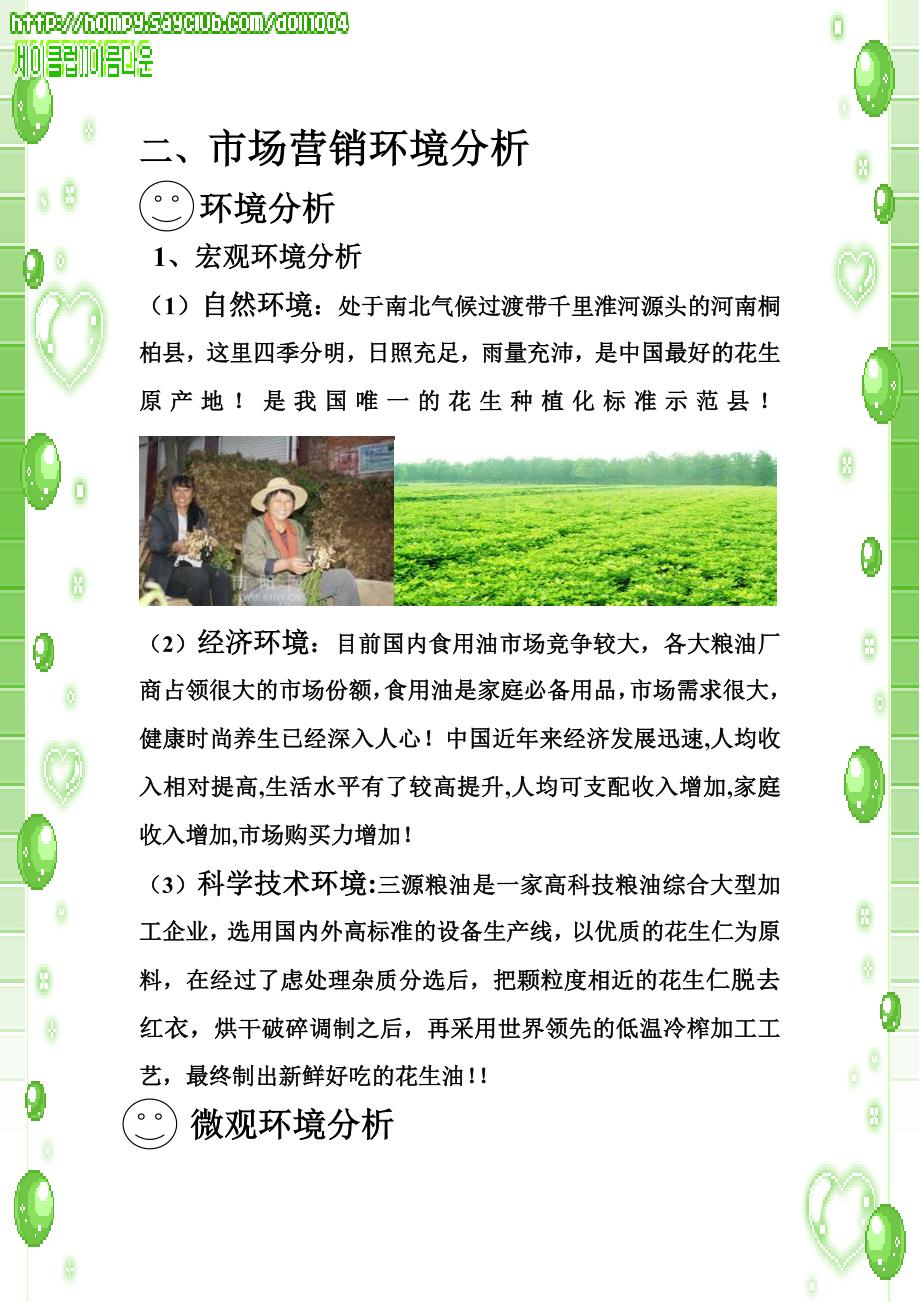 三源粮油营销策划案_第4页