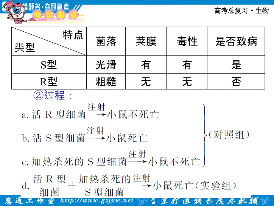 第一章第2节DNA是主要的遗传物质_第3页