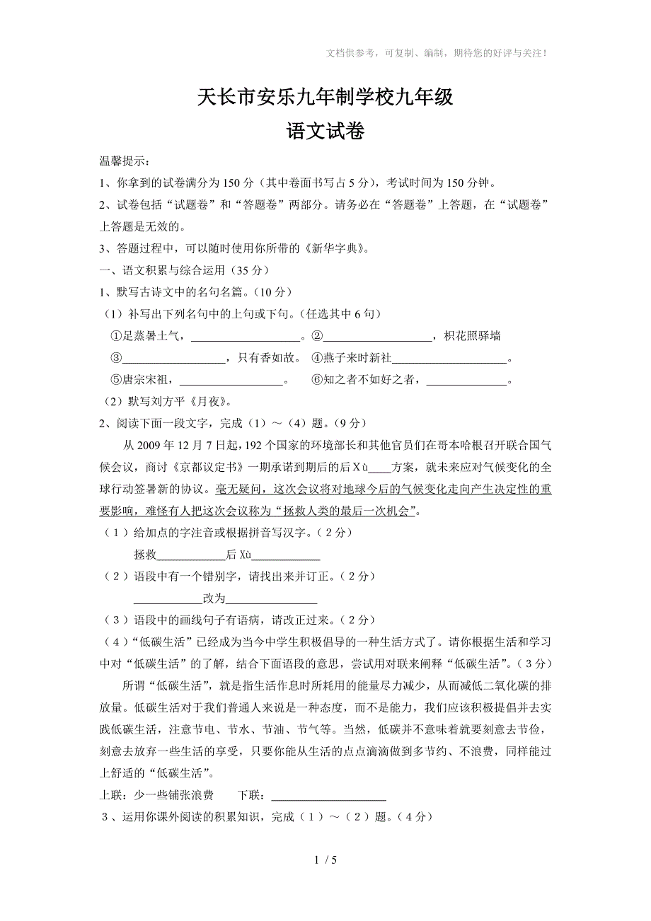 天长市安乐九年制学校九年级语文试卷_第1页