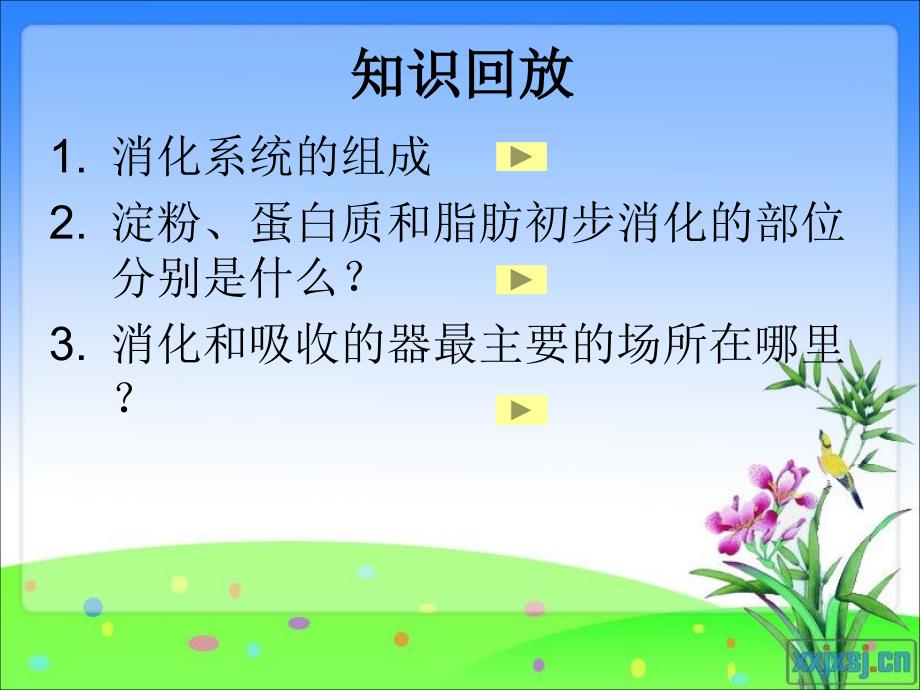 营养物质的吸收和利用_第1页