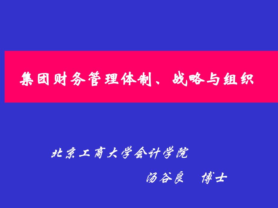 集团财务管理体制战略与组织课件_第1页