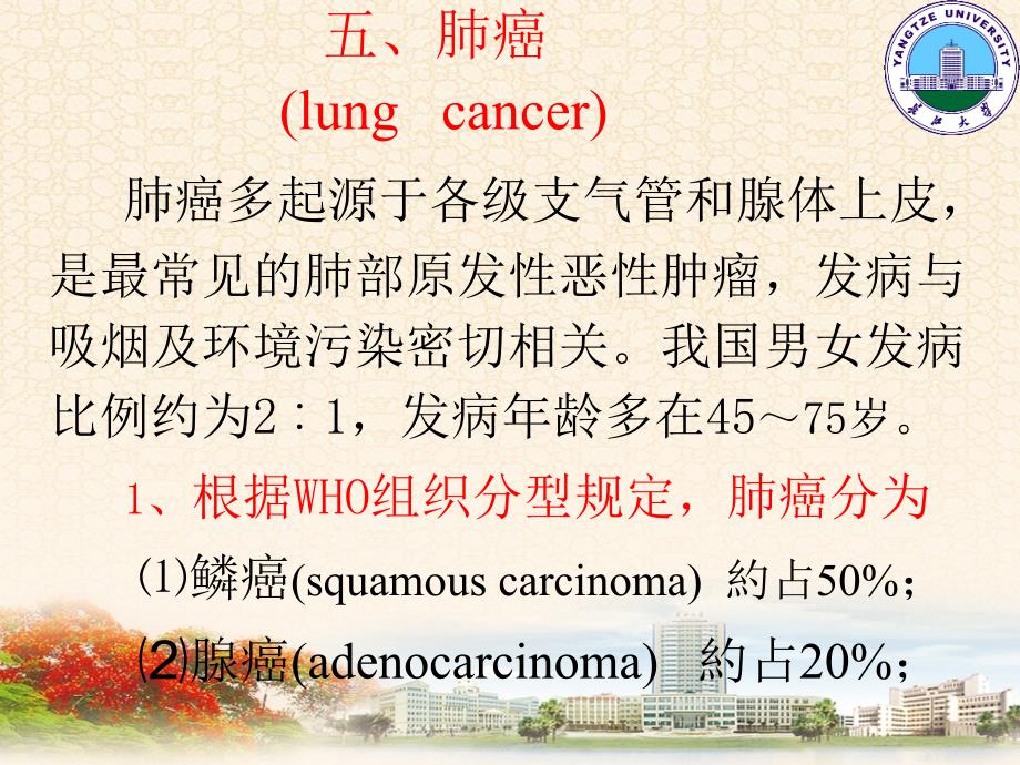 呼吸系统2(像 )_第2页