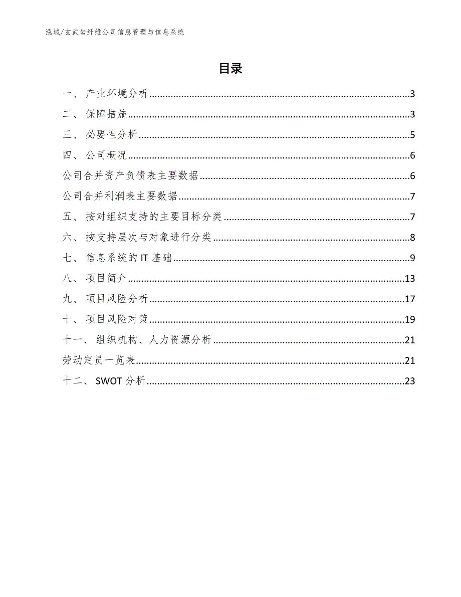 玄武岩纤维公司信息管理与信息系统_第2页