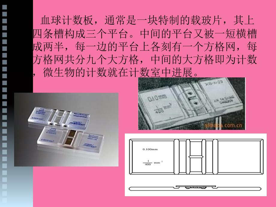 显微镜直接计数法ppt课件_第4页