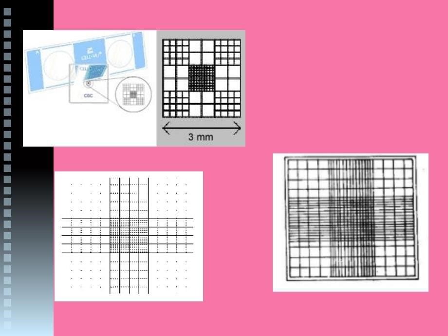 显微镜直接计数法ppt课件_第5页