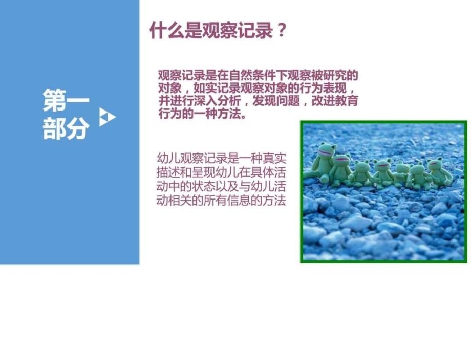 观察记录图文.ppt_第3页